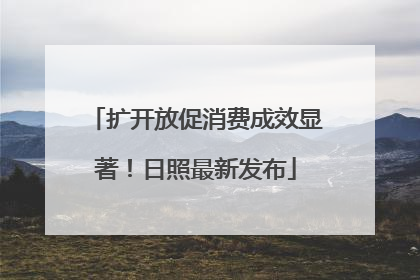 扩开放促消费成效显著！日照最新发布