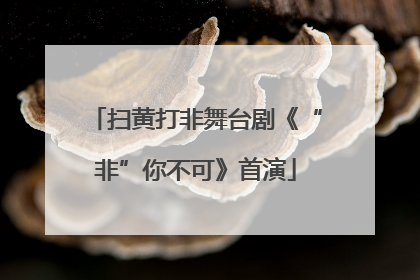 扫黄打非舞台剧《“非”你不可》首演