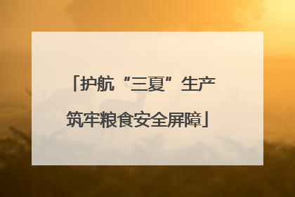 护航“三夏”生产 筑牢粮食安全屏障