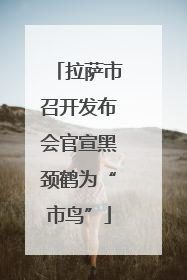 拉萨市召开发布会官宣黑颈鹤为“市鸟”
