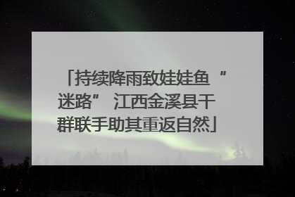 持续降雨致娃娃鱼“迷路” 江西金溪县干群联手助其重返自然