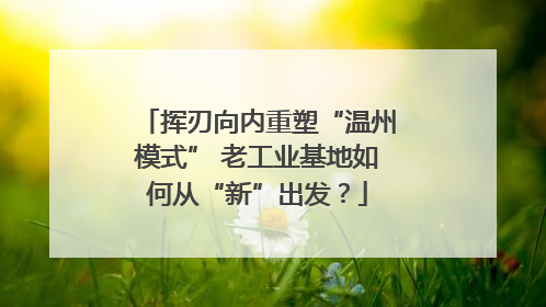 挥刃向内重塑“温州模式” 老工业基地如何从“新”出发？