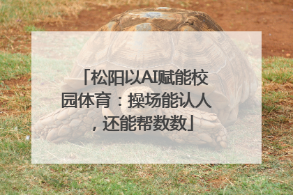 松阳以AI赋能校园体育：操场能认人，还能帮数数