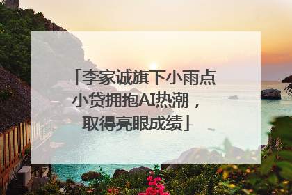 李家诚旗下小雨点小贷拥抱AI热潮，取得亮眼成绩