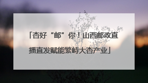 杏好“邮”你！山西邮政直播直发赋能繁峙大杏产业