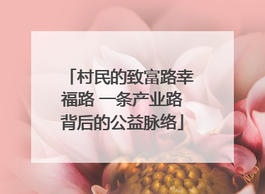 村民的致富路幸福路 一条产业路背后的公益脉络