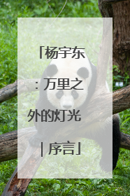 杨宇东：万里之外的灯光｜序言