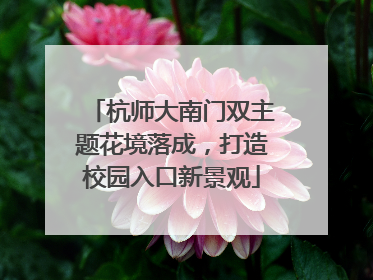 杭师大南门双主题花境落成，打造校园入口新景观