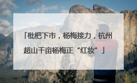 枇杷下市，杨梅接力，杭州超山千亩杨梅正“红妆”