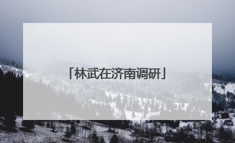 林武在济南调研