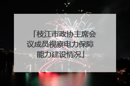 枝江市政协主席会议成员视察电力保障能力建设情况