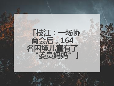 枝江：一场协商会后，164名困境儿童有了“委员妈妈”