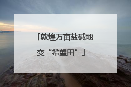 敦煌万亩盐碱地变“希望田”