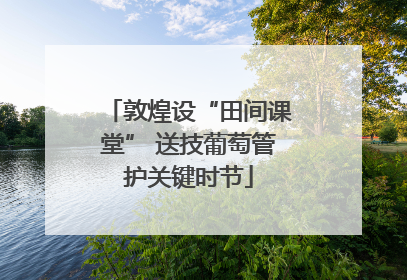 敦煌设“田间课堂” 送技葡萄管护关键时节