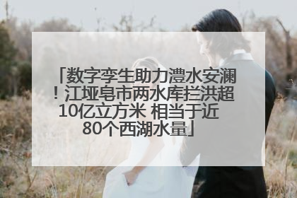 数字孪生助力澧水安澜！江垭皂市两水库拦洪超10亿立方米 相当于近80个西湖水量