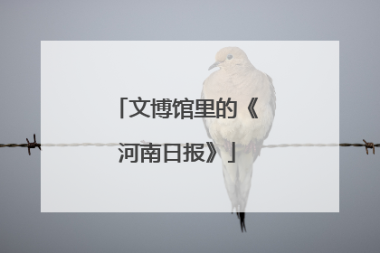 文博馆里的《河南日报》