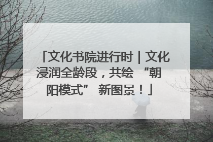 文化书院进行时｜文化浸润全龄段，共绘 “朝阳模式” 新图景！
