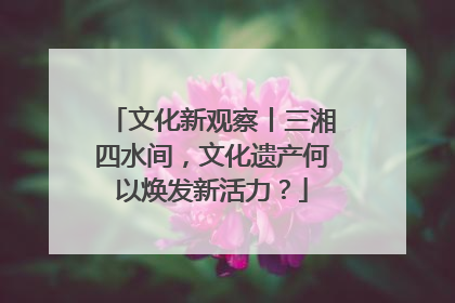 文化新观察丨三湘四水间，文化遗产何以焕发新活力？