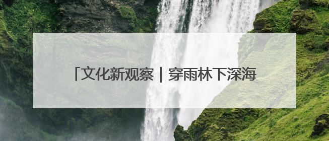 文化新观察｜穿雨林下深海，这里的文物普查不一般