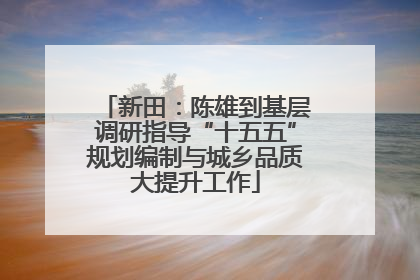 新田：陈雄到基层调研指导“十五五”规划编制与城乡品质大提升工作