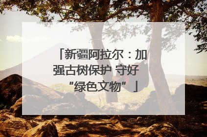 新疆阿拉尔：加强古树保护 守好“绿色文物”