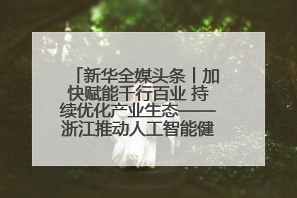 新华全媒头条丨加快赋能千行百业 持续优化产业生态——浙江推动人工智能健康有序发展观察
