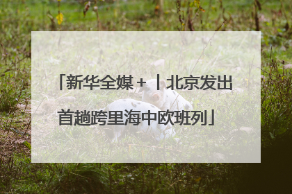 新华全媒＋丨北京发出首趟跨里海中欧班列
