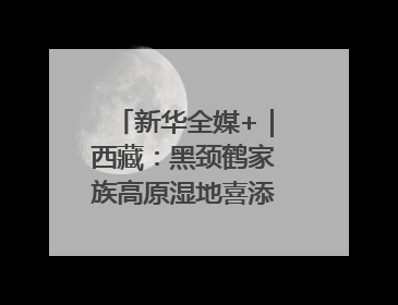 新华全媒+｜西藏：黑颈鹤家族高原湿地喜添“萌宝”