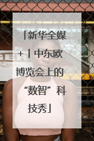 新华全媒+丨中东欧博览会上的“数智”科技秀