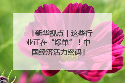 新华视点｜这些行业正在“爆单”！中国经济活力密码