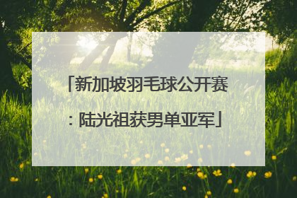 新加坡羽毛球公开赛：陆光祖获男单亚军