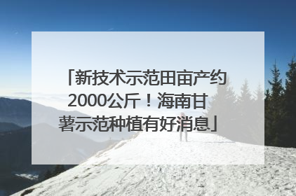 新技术示范田亩产约2000公斤！海南甘薯示范种植有好消息