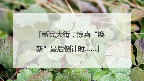 新民大街，惊喜“焕新”最后倒计时……