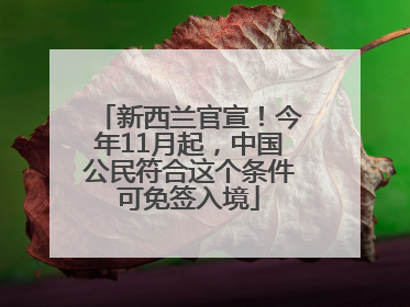 新西兰官宣！今年11月起，中国公民符合这个条件可免签入境