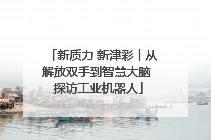 新质力 新津彩丨从解放双手到智慧大脑 探访工业机器人