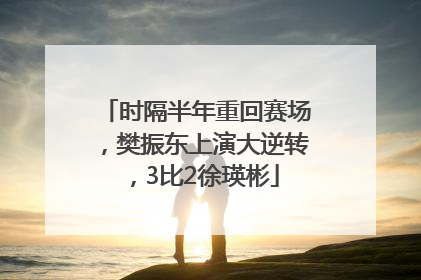 时隔半年重回赛场，樊振东上演大逆转，3比2徐瑛彬