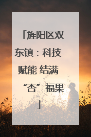 旌阳区双东镇：科技赋能 结满“杏”福果