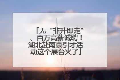 无“非升即走”、百万高薪诚聘！湖北赴南京引才活动这个展台火了