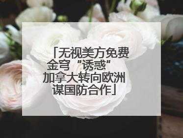 无视美方免费金穹“诱惑” 加拿大转向欧洲谋国防合作