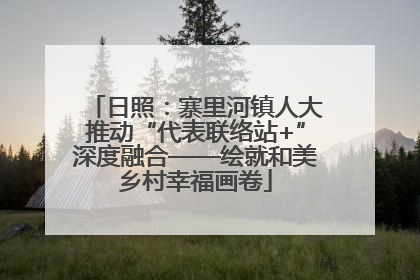 日照：寨里河镇人大推动“代表联络站+”深度融合——绘就和美乡村幸福画卷