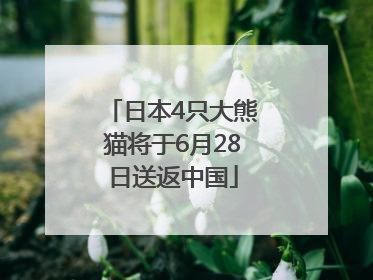 日本4只大熊猫将于6月28日送返中国