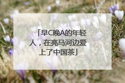 早C晚A的年轻人，在亮马河边爱上了中国茶