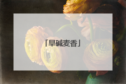 旱碱麦香