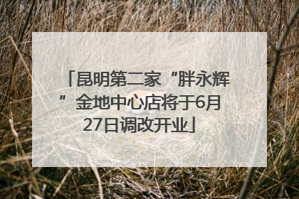 昆明第二家“胖永辉”金地中心店将于6月27日调改开业