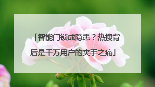 智能门锁成隐患？热搜背后是千万用户的夹手之痛