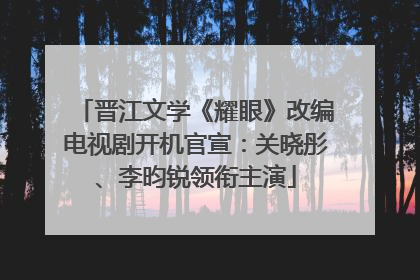晋江文学《耀眼》改编电视剧开机官宣：关晓彤、李昀锐领衔主演