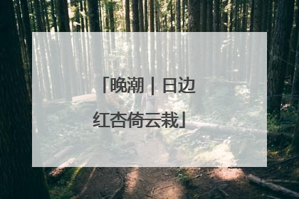 晚潮｜日边红杏倚云栽