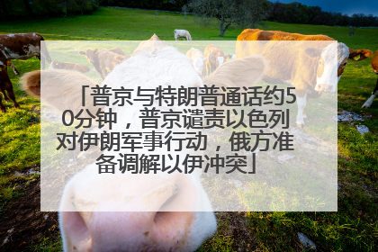 普京与特朗普通话约50分钟，普京谴责以色列对伊朗军事行动，俄方准备调解以伊冲突