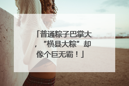 普通粽子巴掌大，“横县大粽”却像个巨无霸！