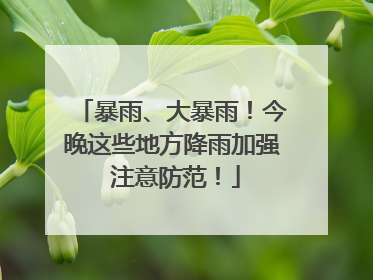 暴雨、大暴雨！今晚这些地方降雨加强 注意防范！